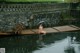 A naked woman sitting on a wooden raft in the water.