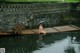 A naked woman sitting on a wooden raft in the water.