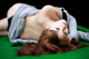 Megumi Yasu - Dream Eroticas De P9 No.a690b9