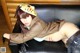 Cosplay Mikoshiba - Amamiya Nude Doggy P10 No.e5b2a7 Image No. 5